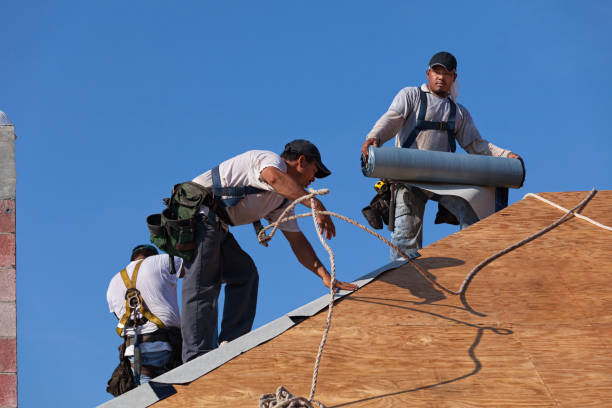 Best Local Roofing Companies  in Ashland, VA