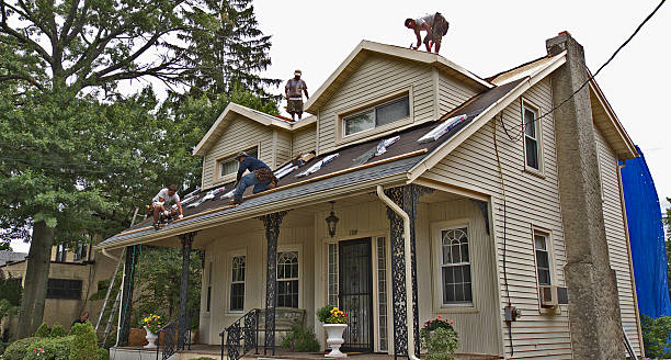 Best Roof Gutter Cleaning  in Ashland, VA